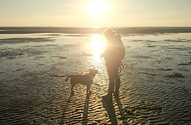 Hund und Mensch im Watt bei Sonnenuntergang